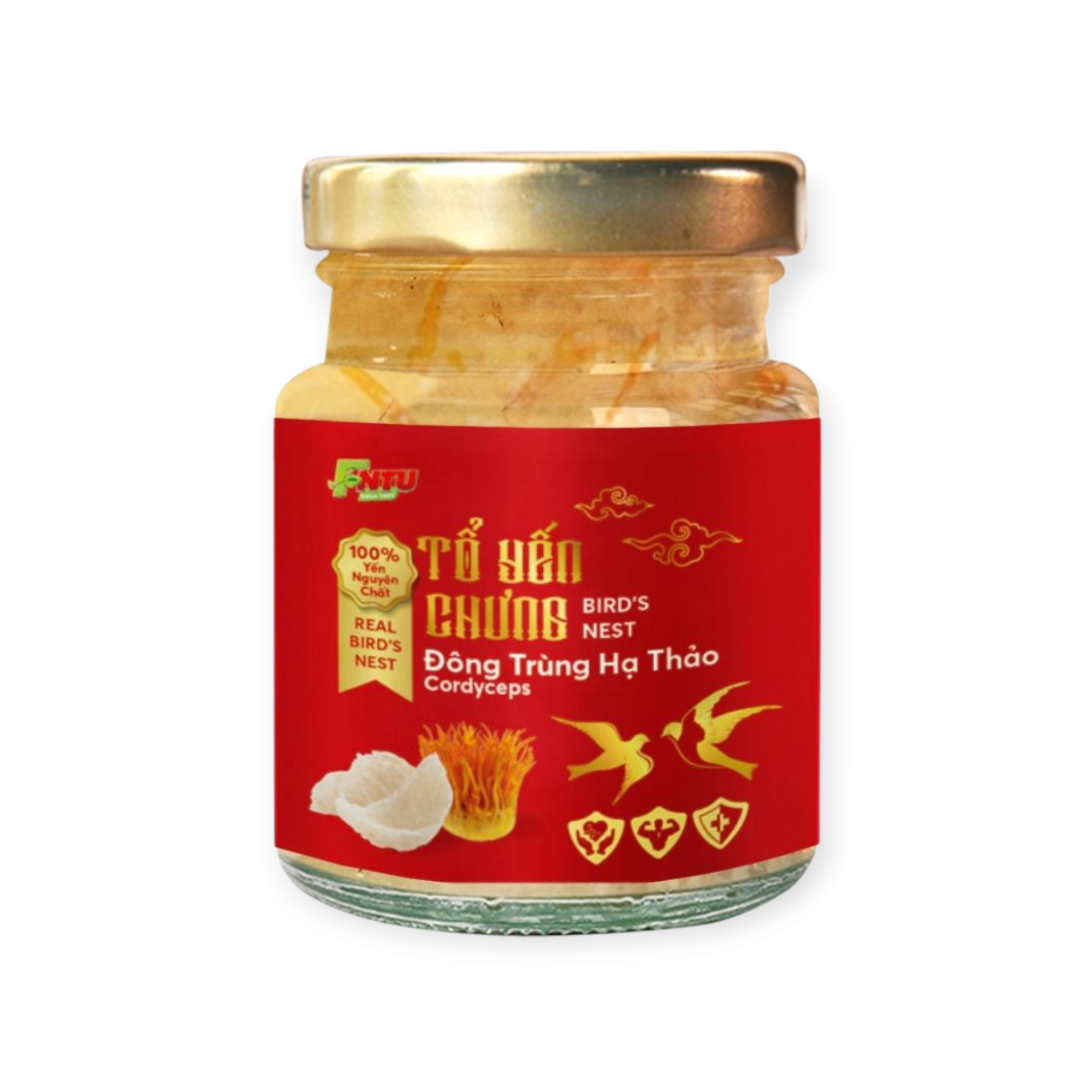 TỔ YẾN CHƯNG ĐÔNG TRÙNG HẠ THẢO – HỘP 1 HŨ