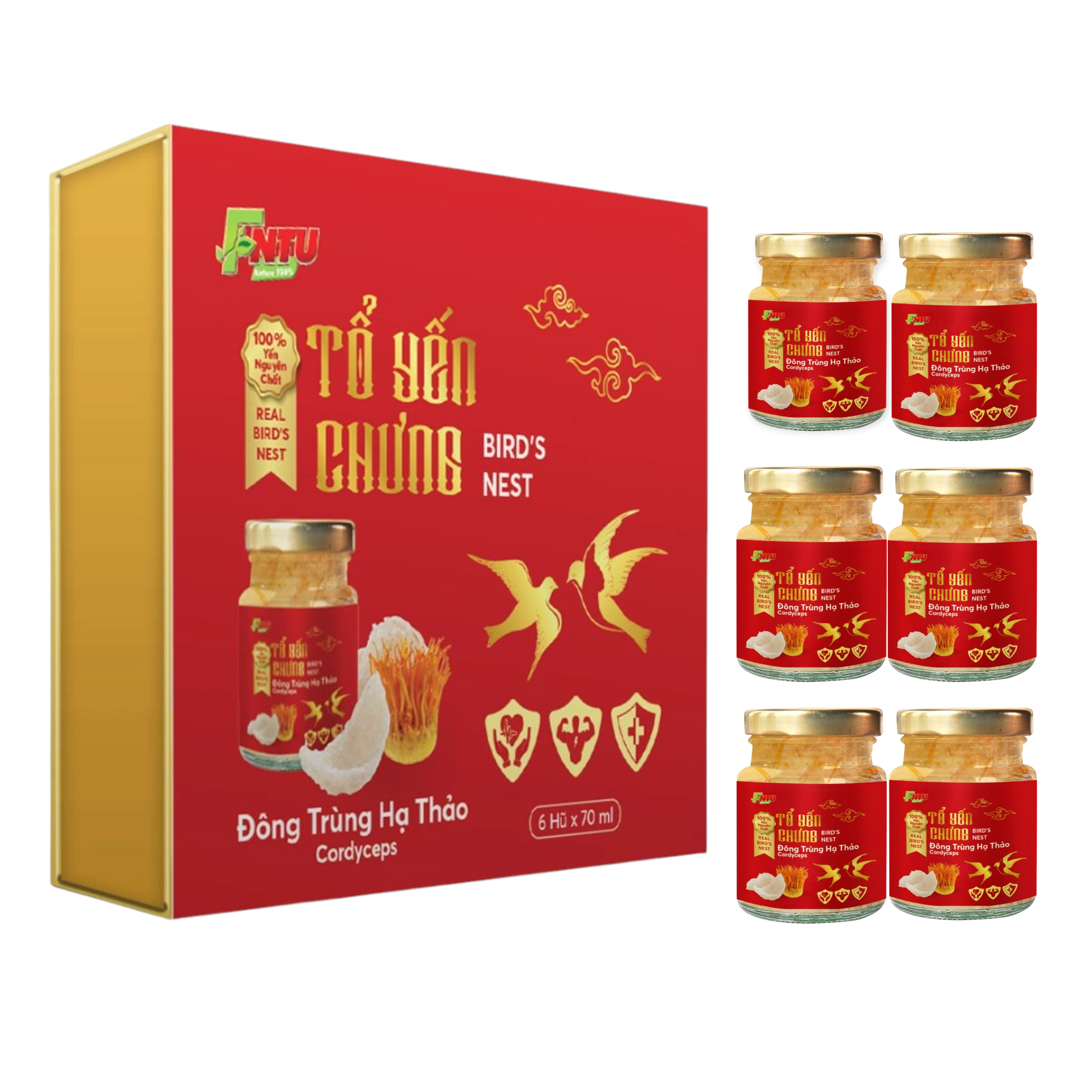 TỔ YẾN CHƯNG ĐÔNG TRÙNG HẠ THẢO – HỘP 6 HŨ