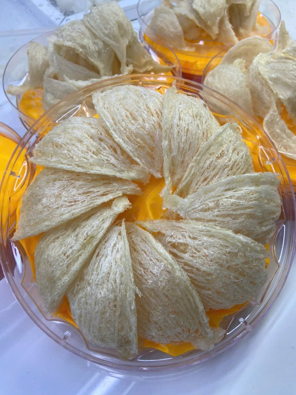 Tổ yến tinh chế (Hộp 100gr)