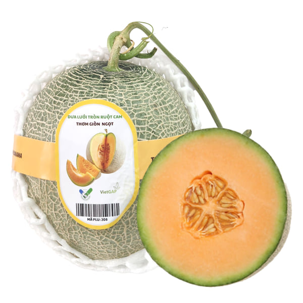 Dưa Lưới Tròn Ruột Cam