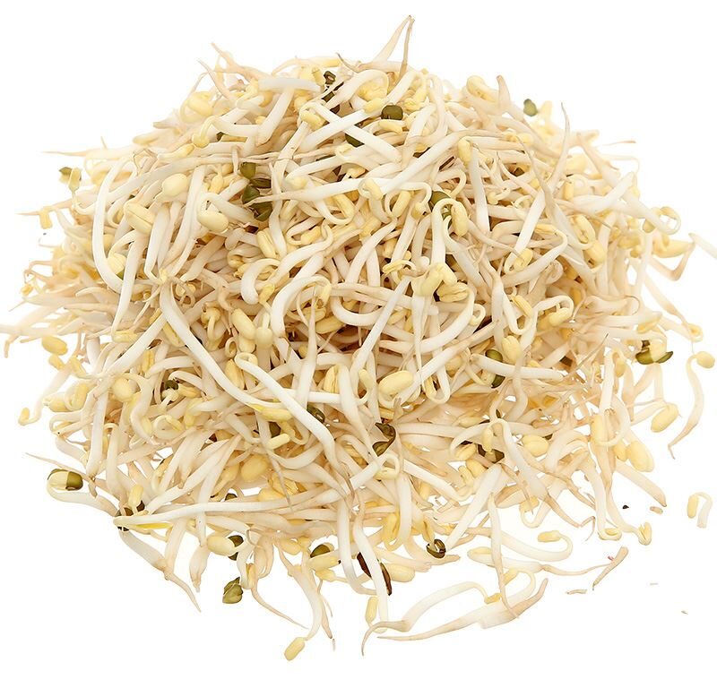 Giá Sạch