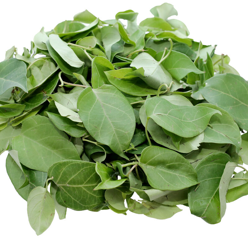 Lá Giang