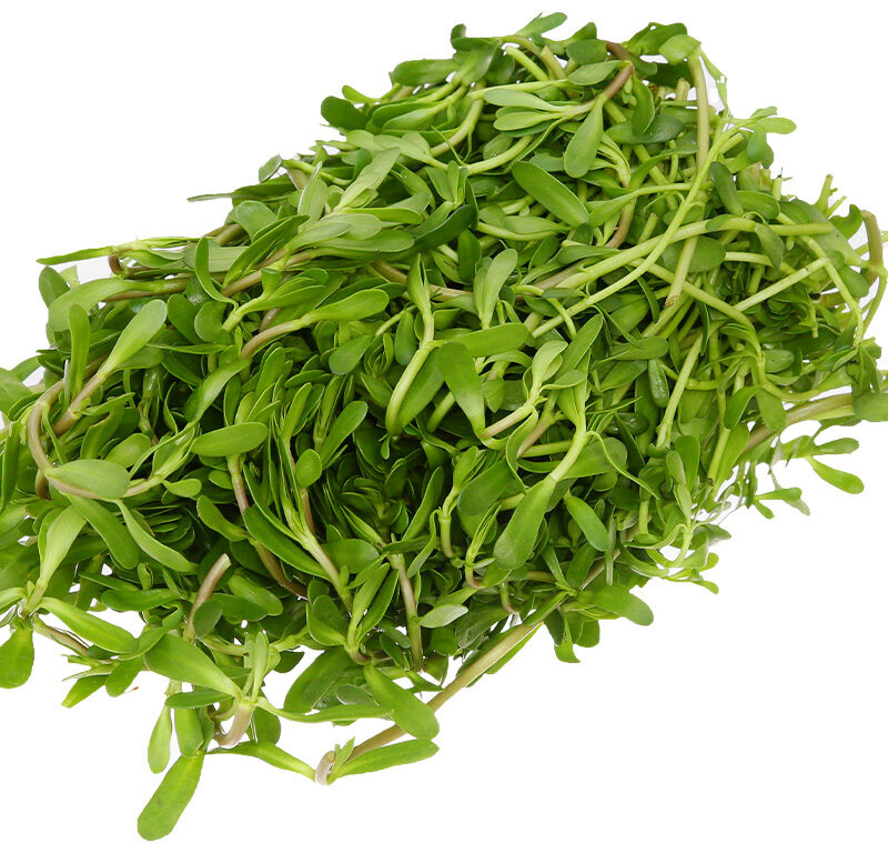 Rau Đắng