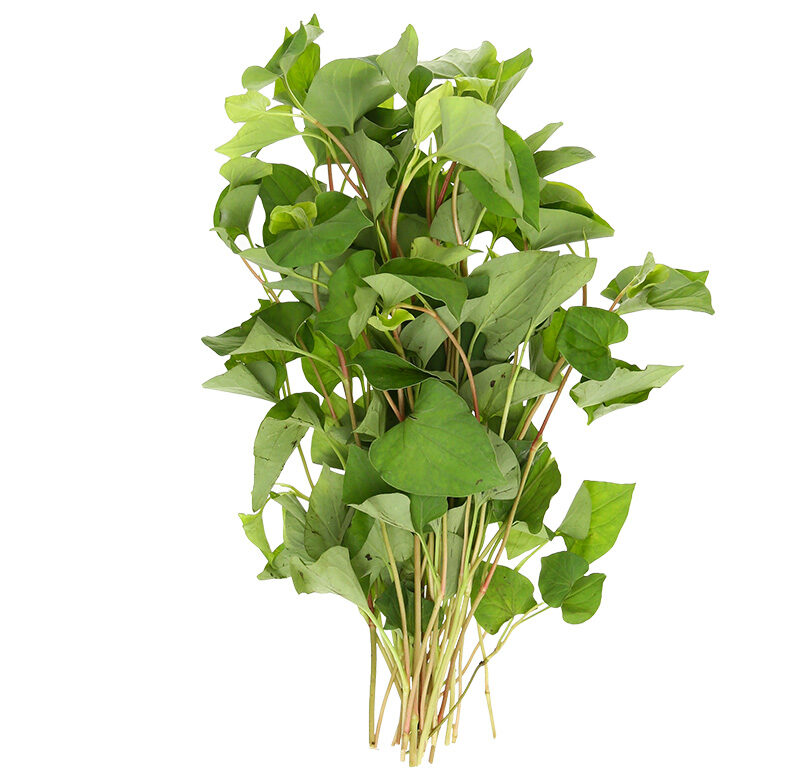 Rau Diếp Cá