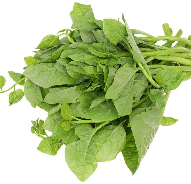 Rau Mồng Tơi