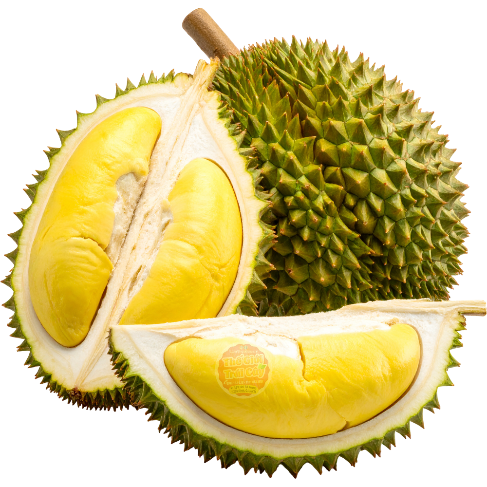 Sầu Riêng Ri6 (nguyên trái chưa tách vỏ)