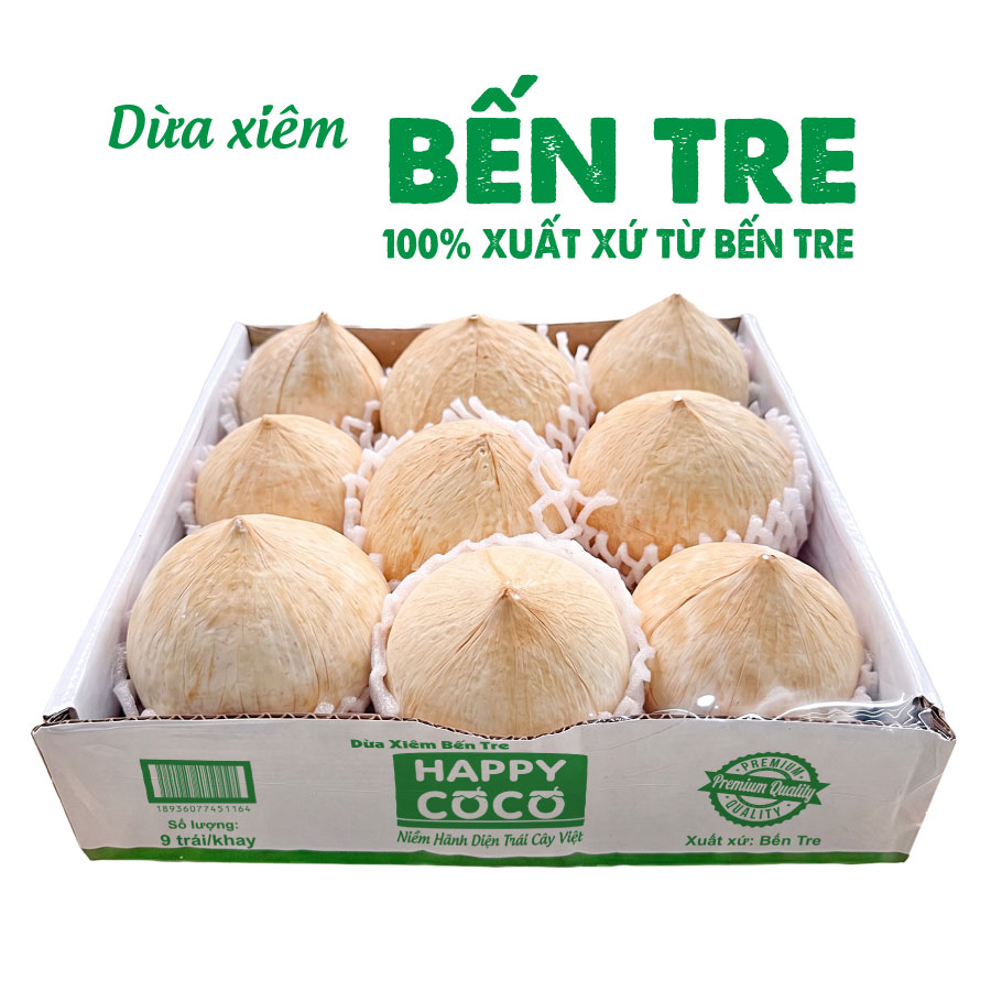 Dừa xiêm Bến Tre Khay 9 trái